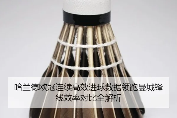 哈兰德欧冠连续高效进球数据领跑曼城锋线效率对比全解析